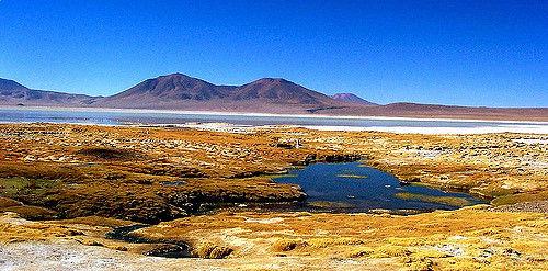 Imagen cortesía deNaturaleza en Flickr.com
