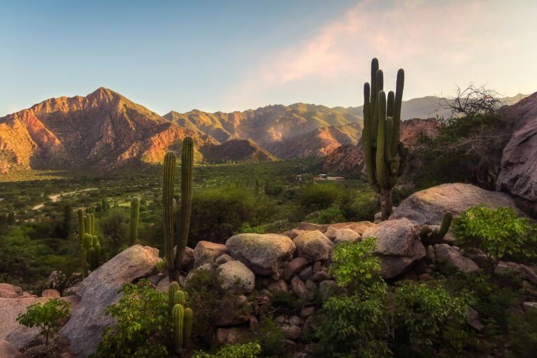 Salta- argentina