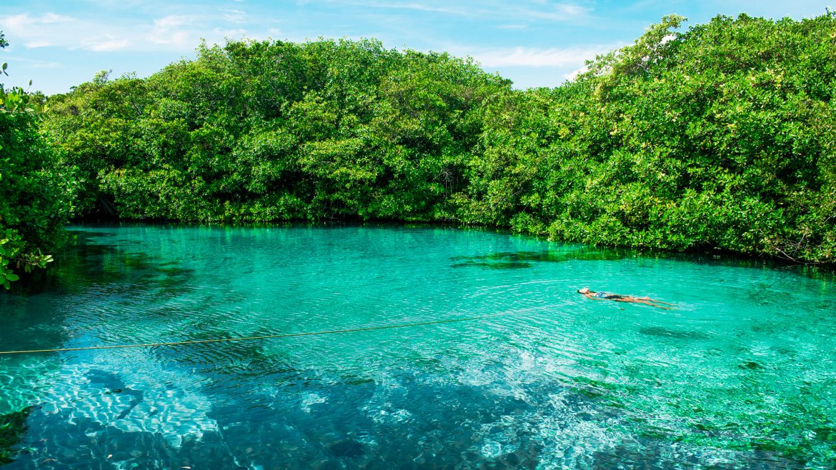 cenotes riviera maya