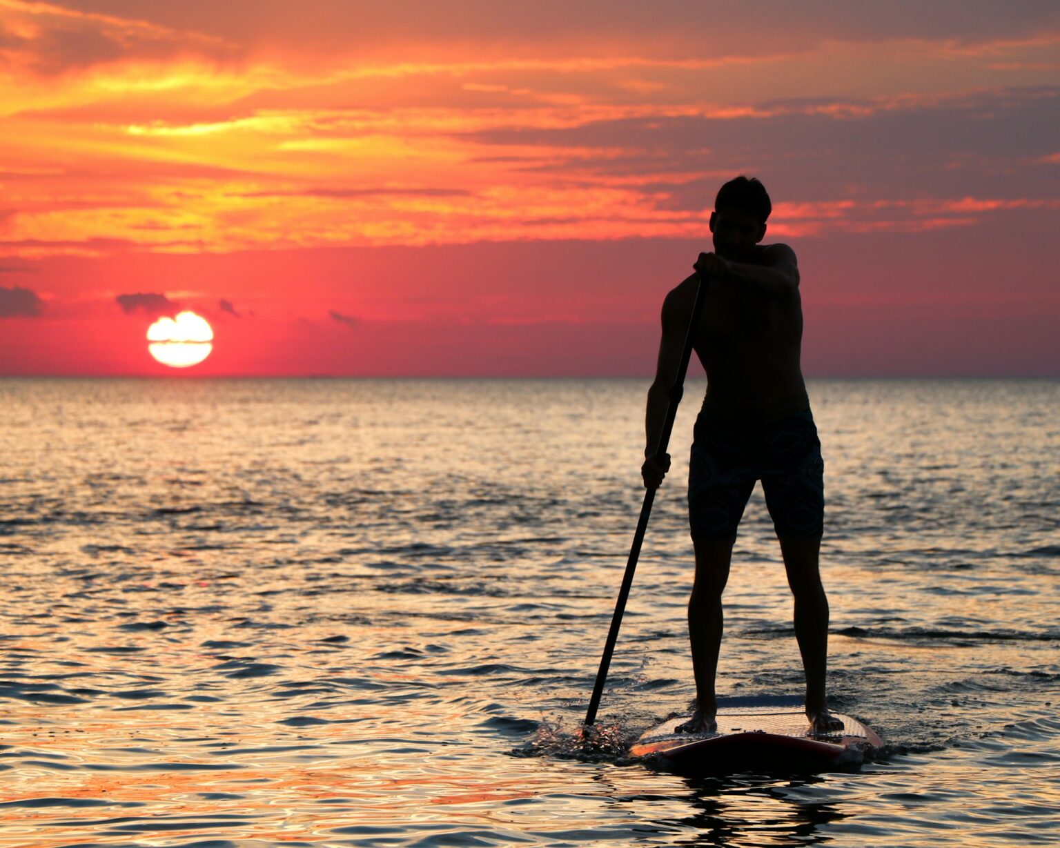 paddleboard los cabos