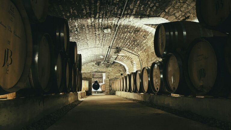 wine cellar