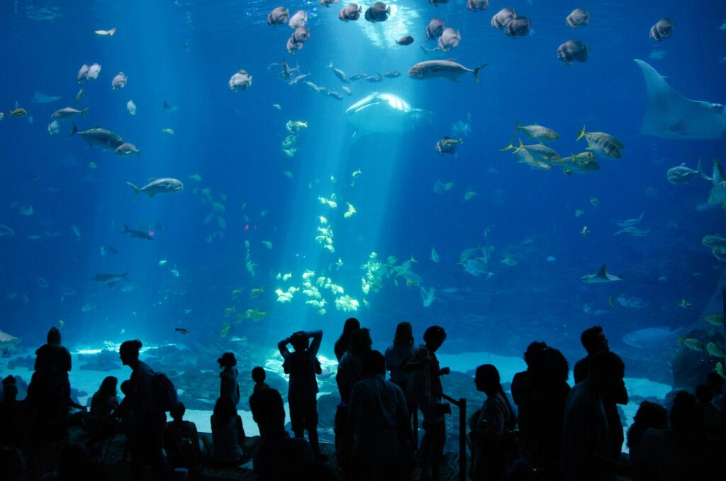 SHARK REEF AQUARIUM EN MANDALAY BAY