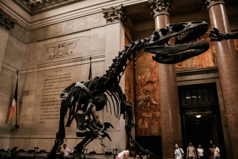 AMERICAN MUSEUM OF NATURAL HISTORY (MUSEO DE HISTORIA NATURAL)
