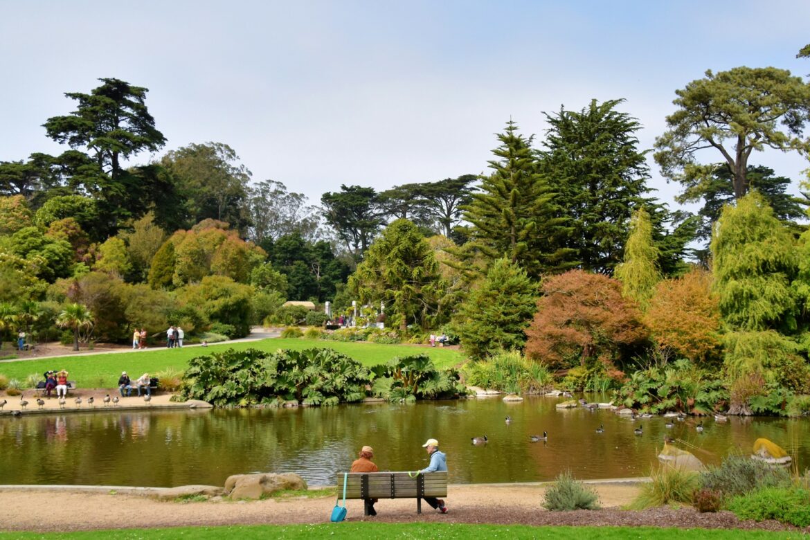 golden gate park
