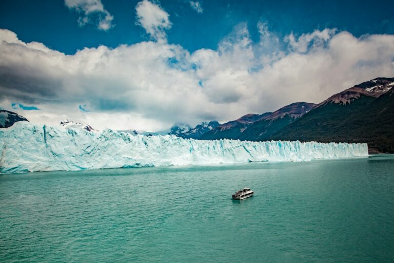 el calafate 