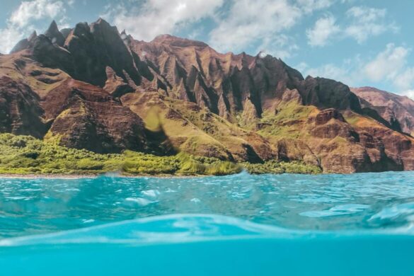 pexels-jess-vide-5008370-1170×1170