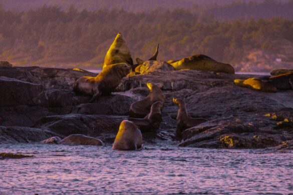 pexels-wendywei-13244461-1170×1755