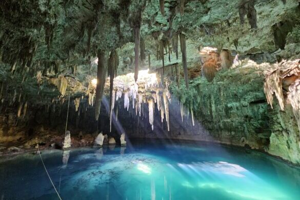 marco-murakami-LBrb9mX3zE-unsplash-585×439