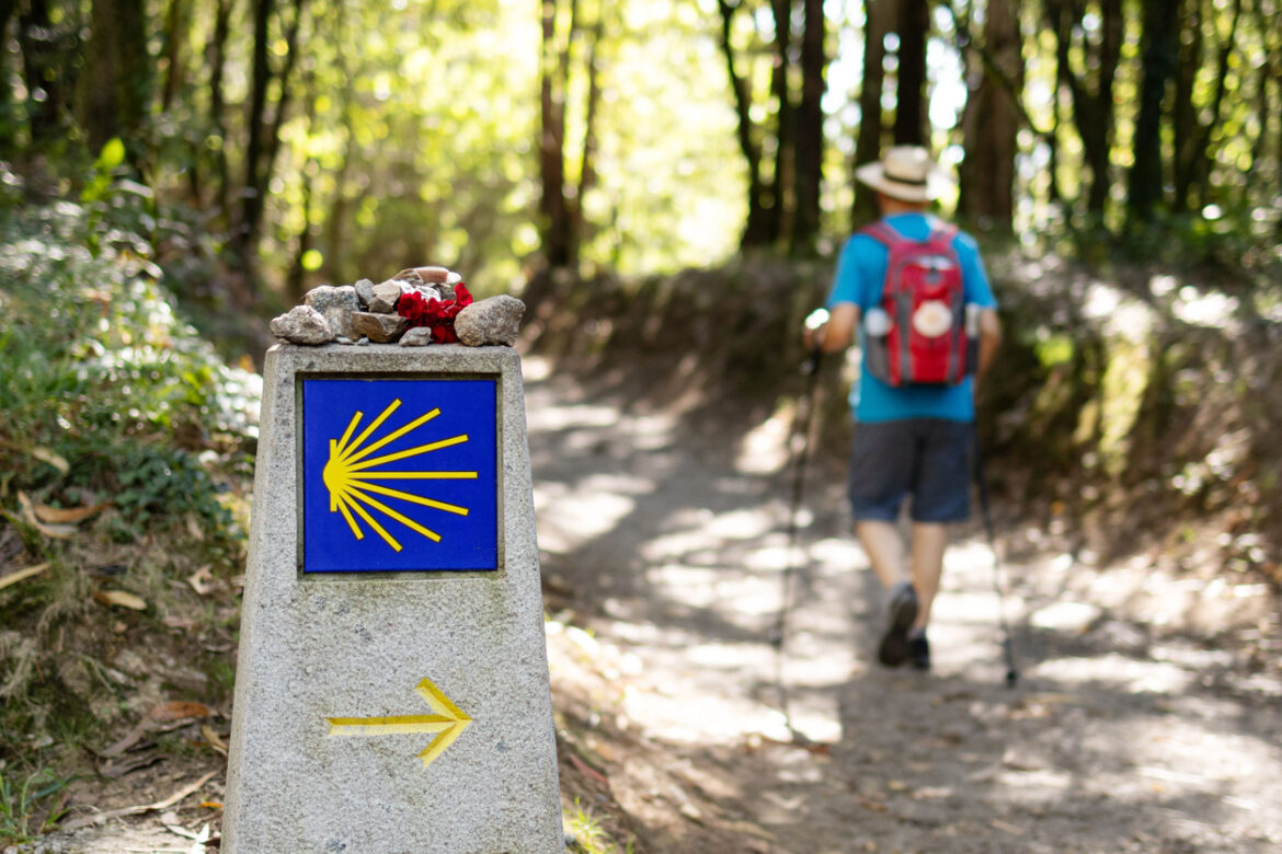 camino de santiago