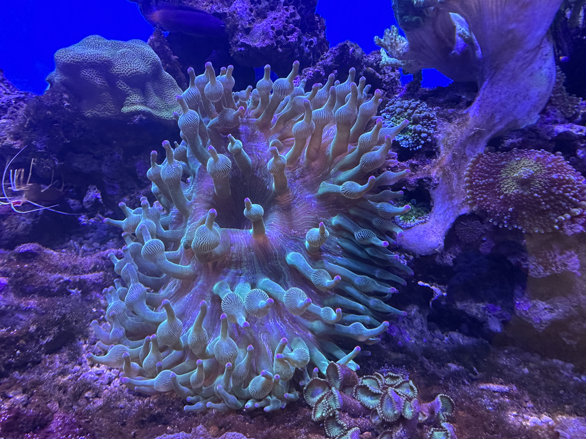 VANCOUVER AQUARIUM