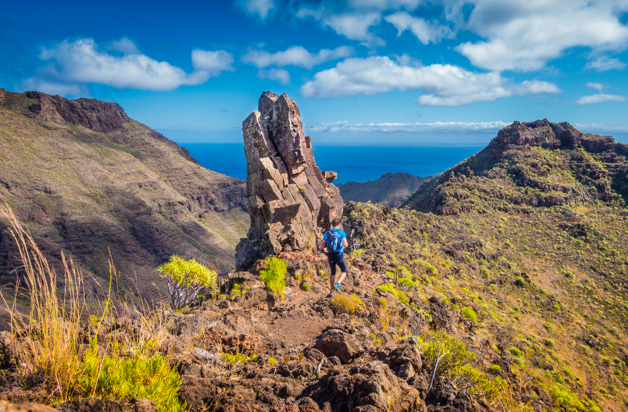 GOMERA Y EL HIERRO