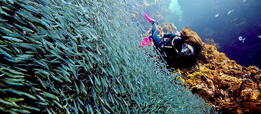 Buceo_Peces copy