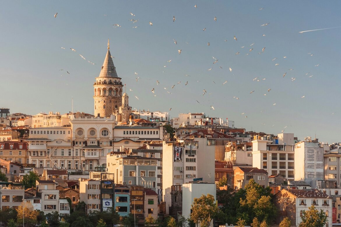 anna-berdnik-0n0AHB1fgTQ-unsplash istambul