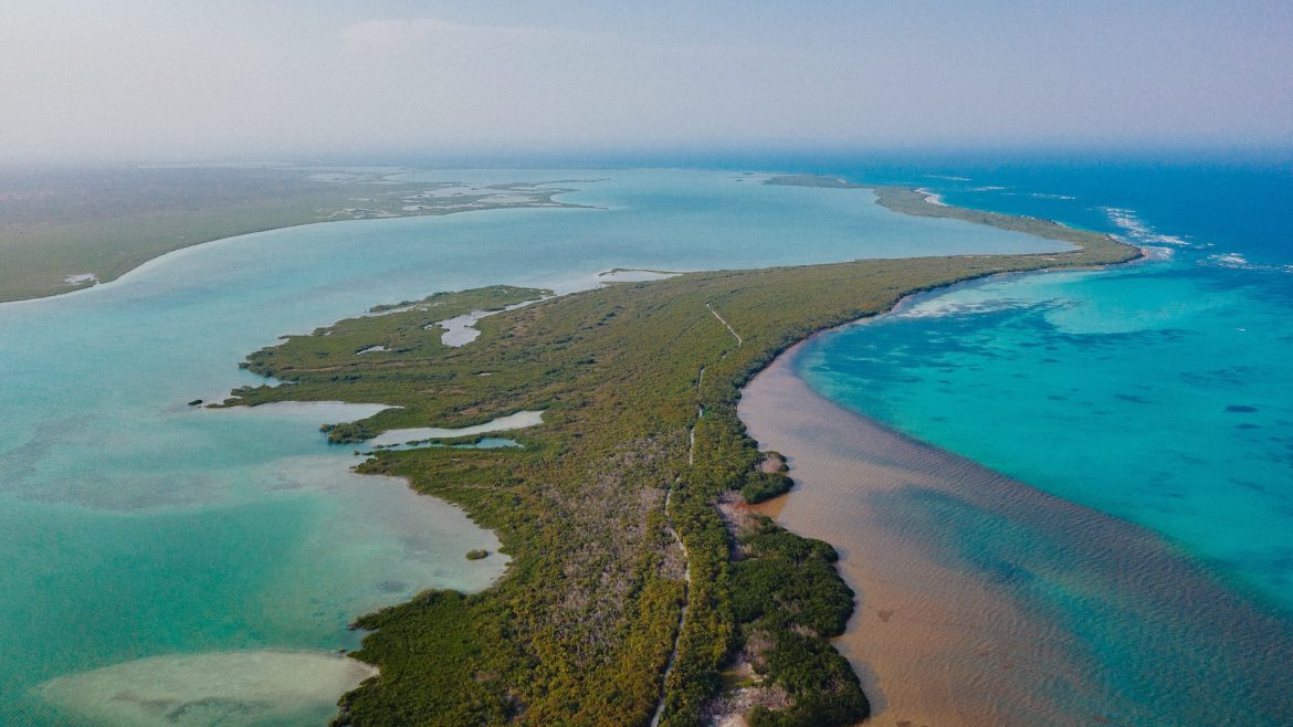 tom-robak-hrwZmq98o_8-unsplash RIVIERA MAYA