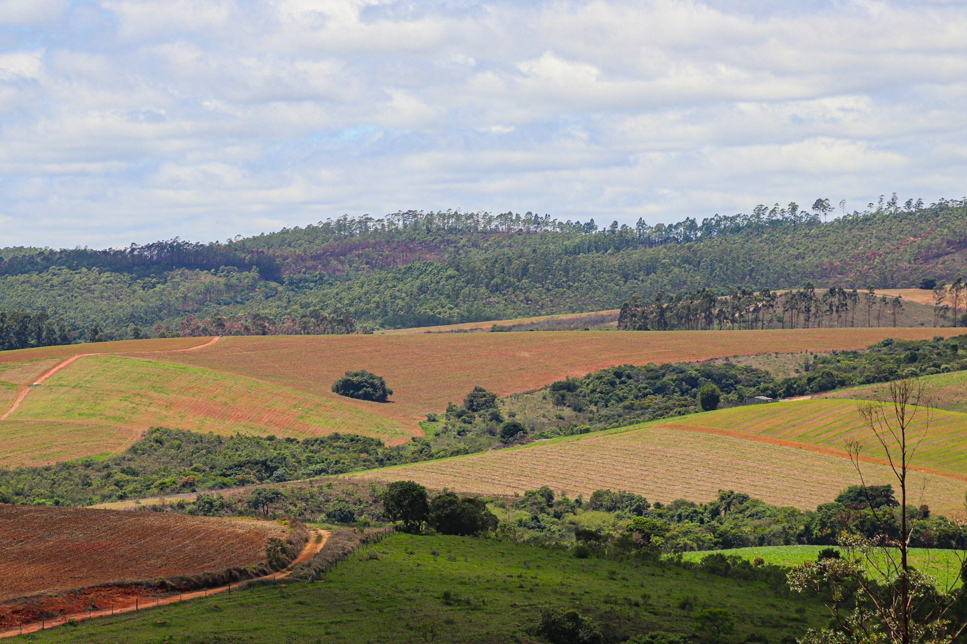 DIA DOS PAIS - mina gerais