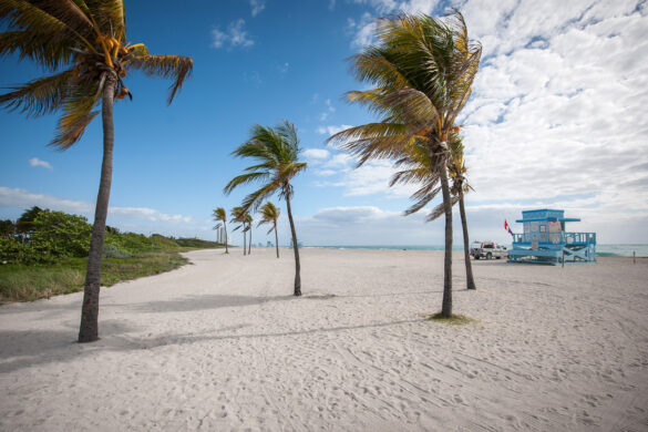 greater miami convention & visitors bureu-haulover beach greater miami convention & visitors bureu-haulover beach