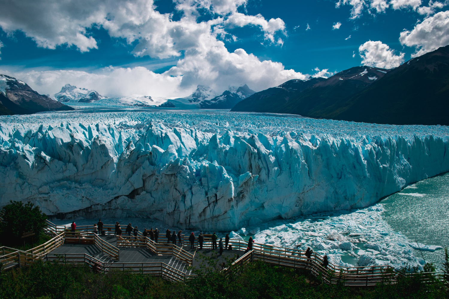 CALAFATE