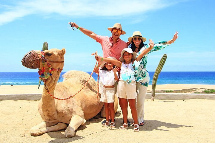 camelos familia