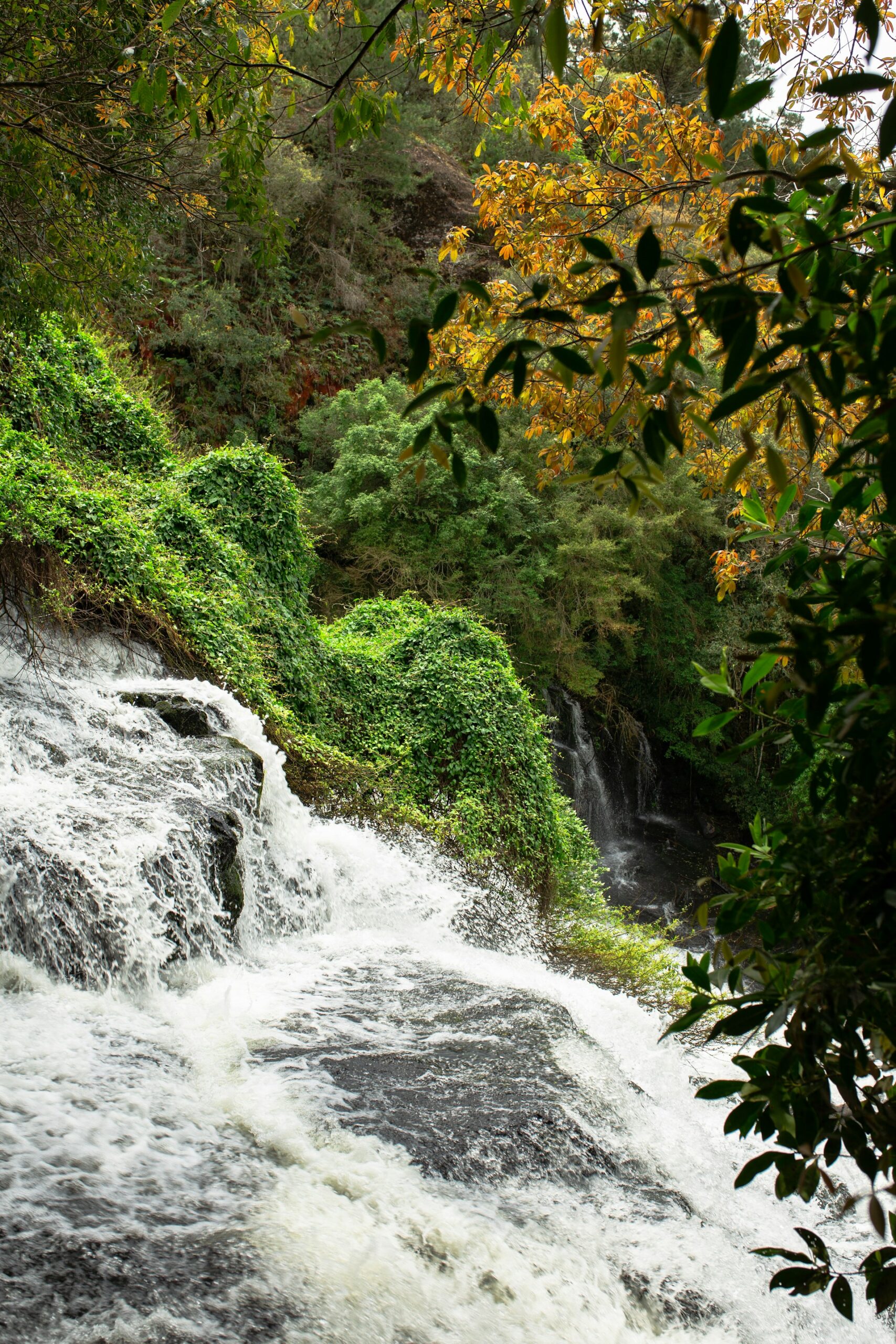 Viajar em junho e julho