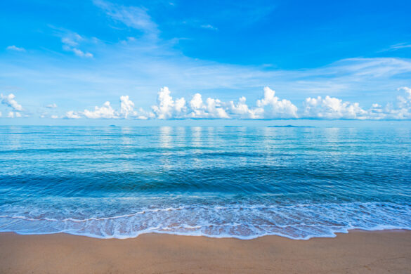 vitamin sea
