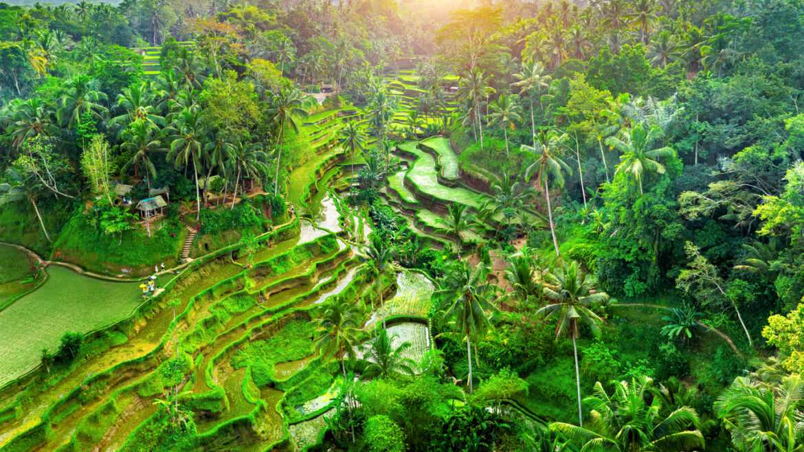Guia de Viagem de Bali