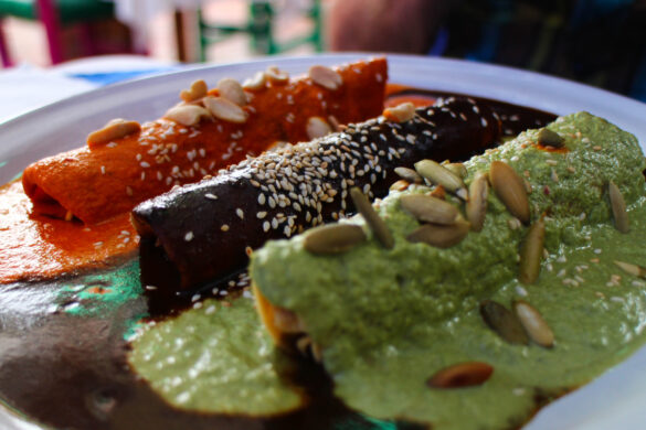 Red, Black and Green Mole Red, Black and Green Mole