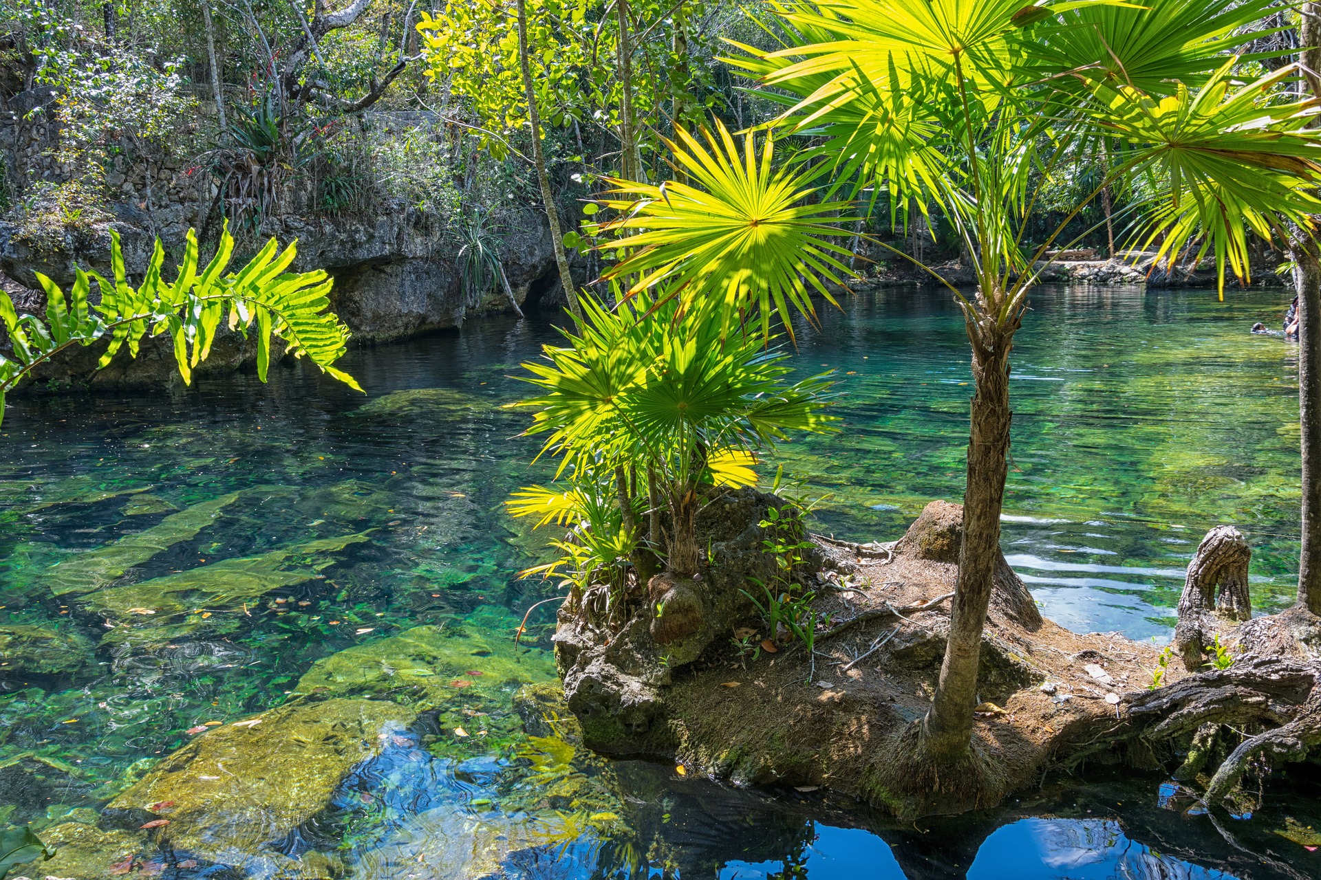 Cenotes Cancún: ¡la Ruta Que Debes Seguir Este Verano! - Destinations