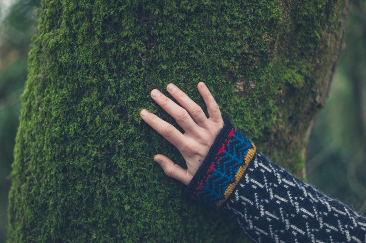 Hand of woman on tree with moss Decorative images