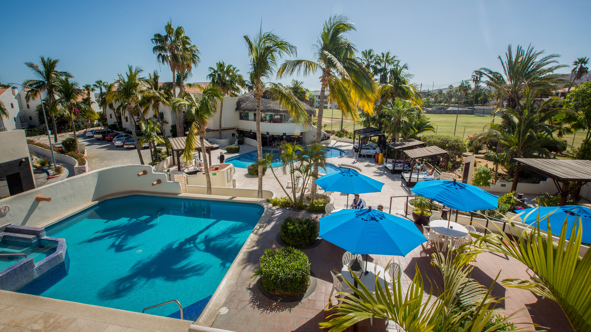 royal-holiday-hotel-resort-alberca-palmeras-hotel-park-royal-los-cabos-mexico-baja-california-sur-san-jose-del-cabo