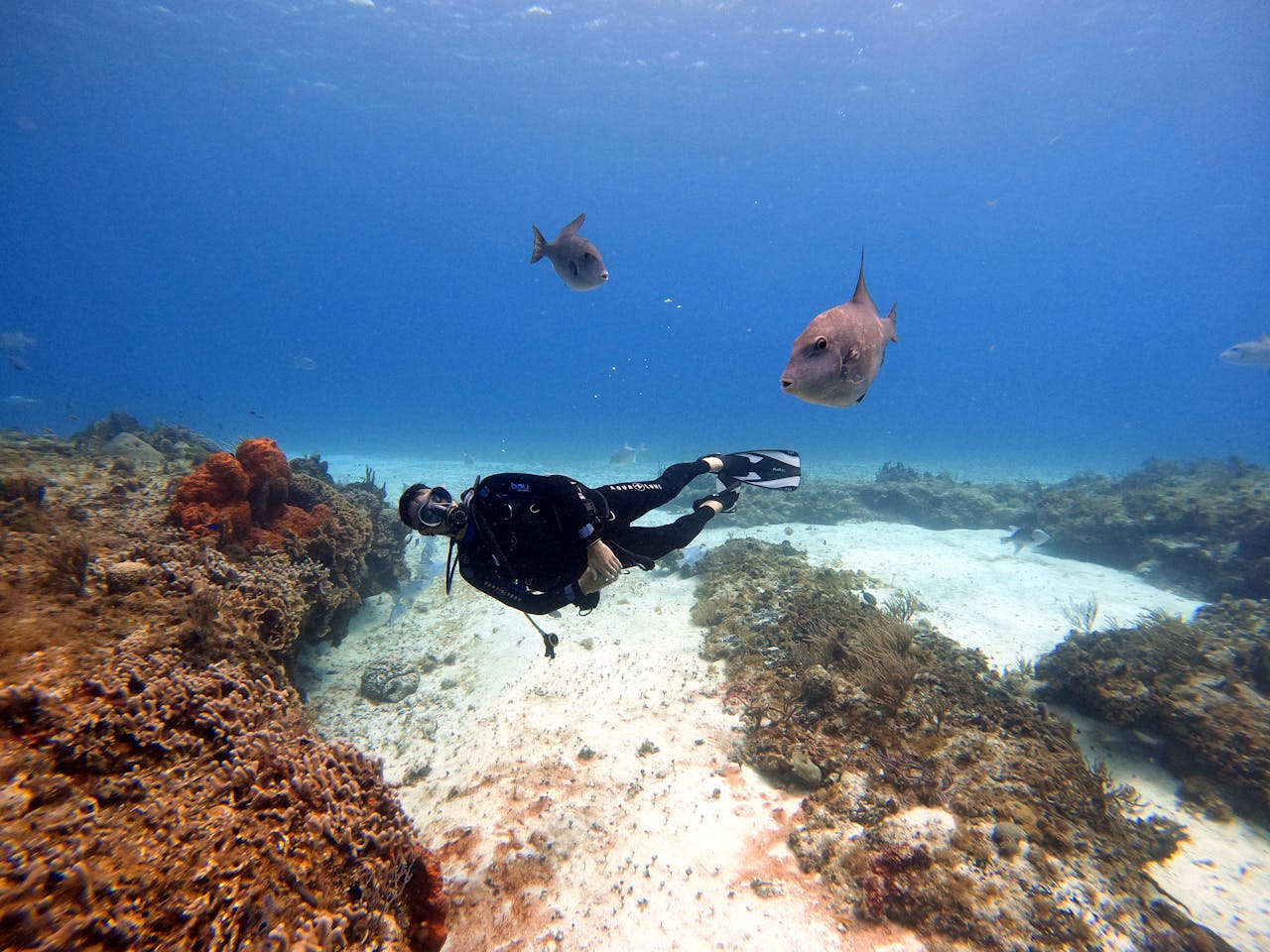 viaje a cancún