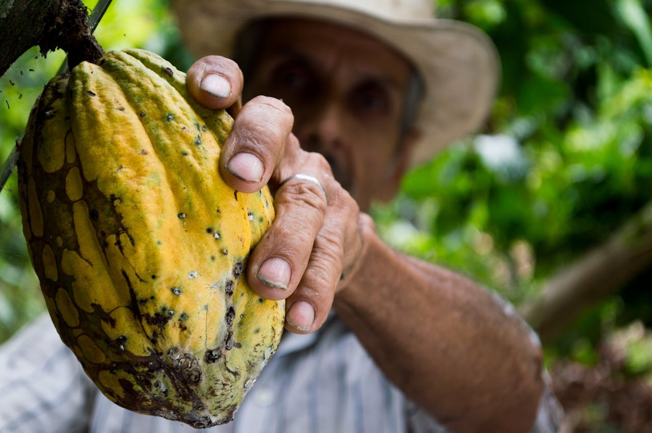 día internacional del chocolate