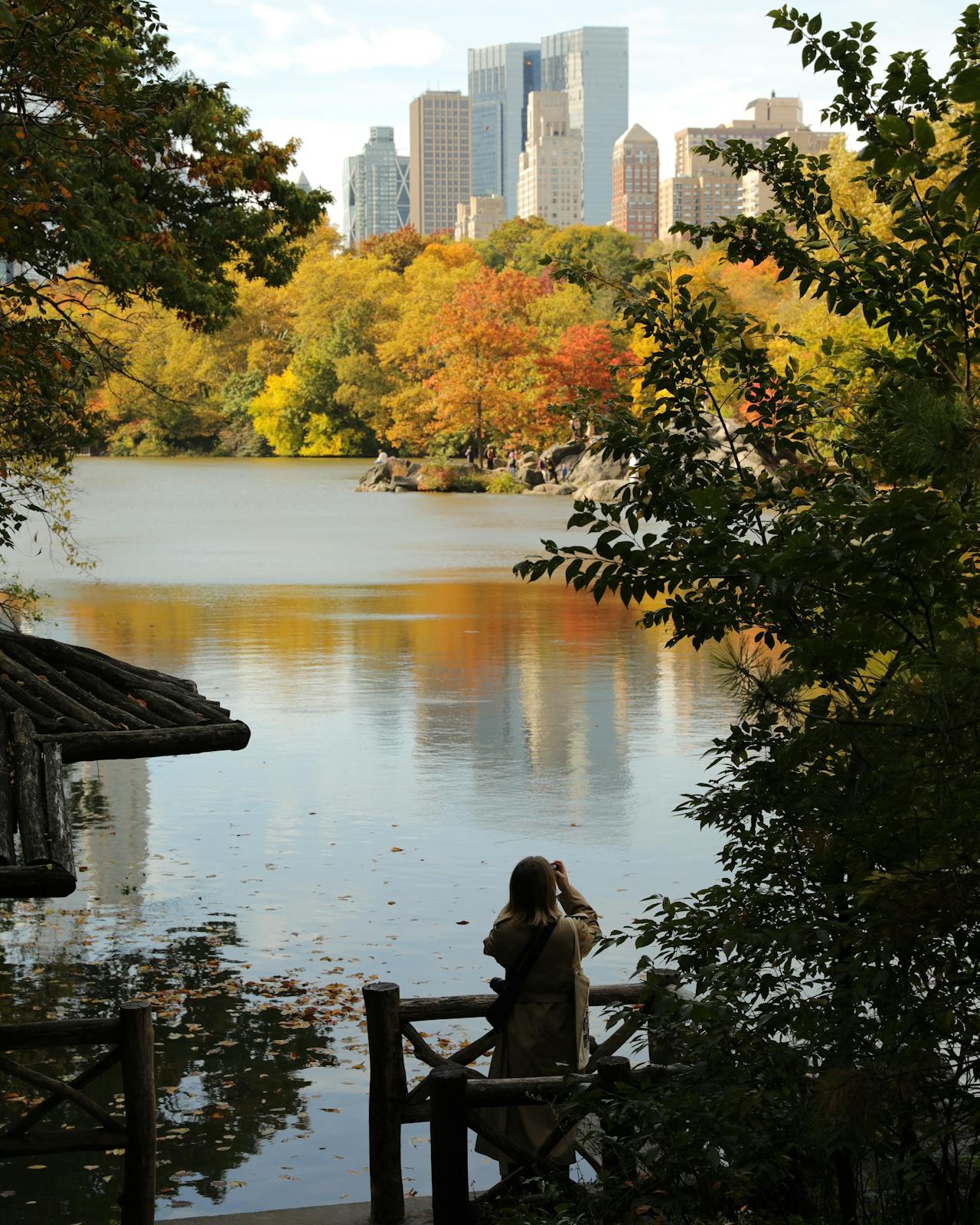 otoño central park