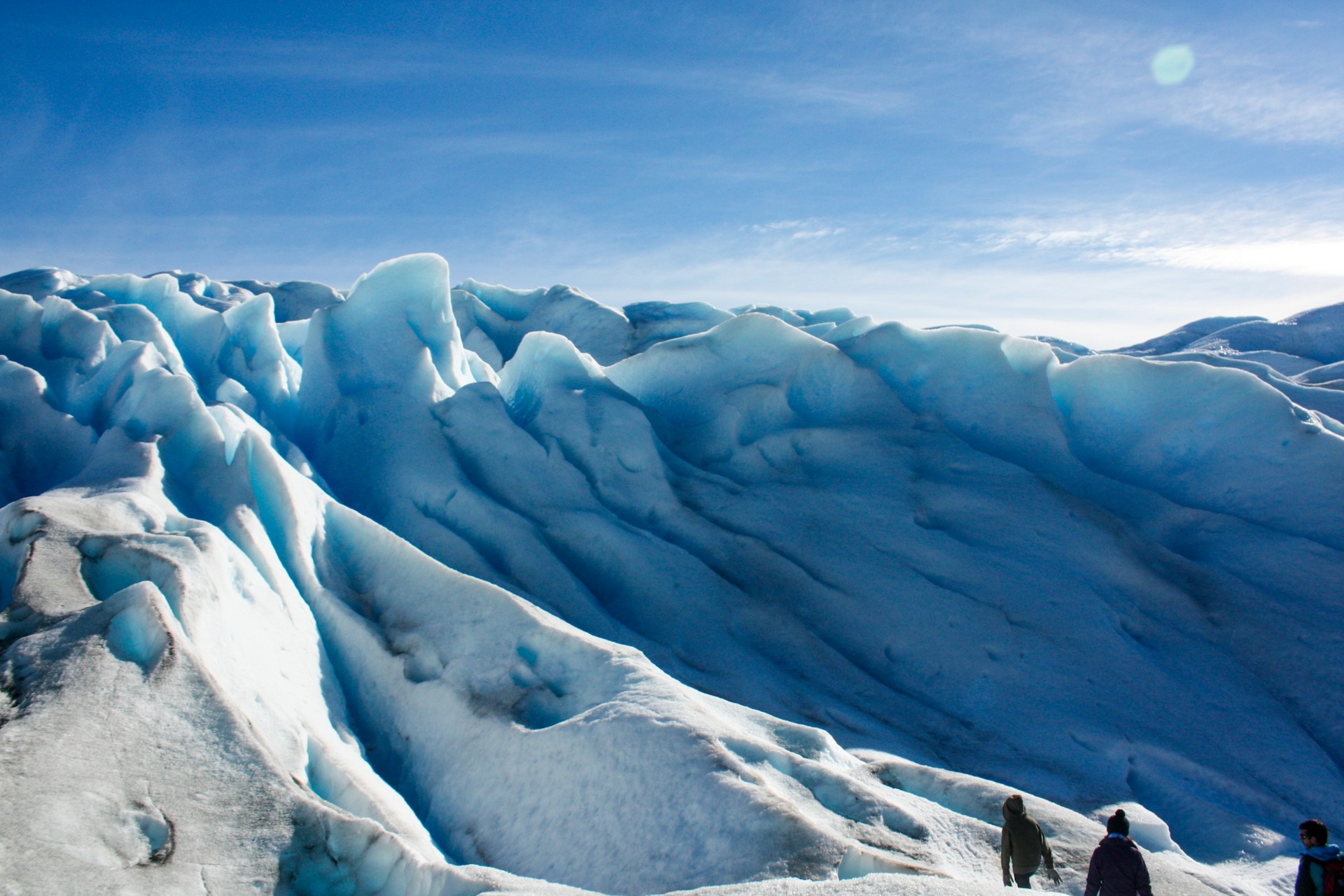 Calafate qué hacer