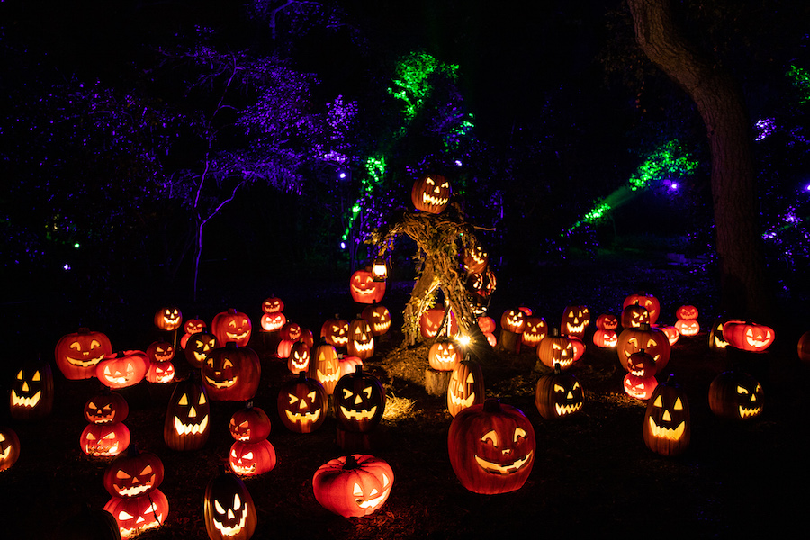 Halloween en estados unidos