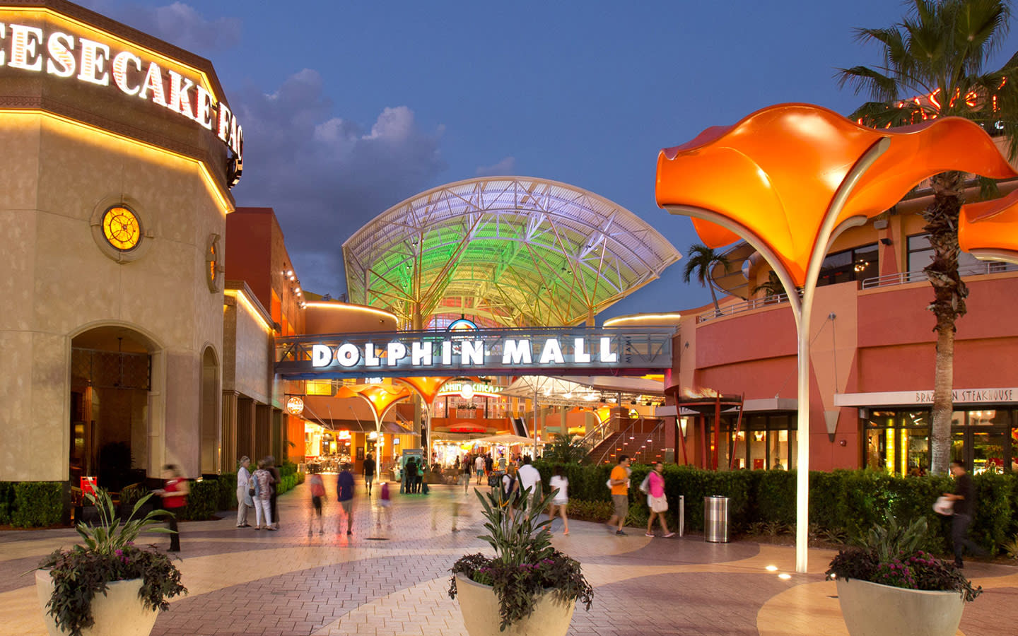 Dolphin mall