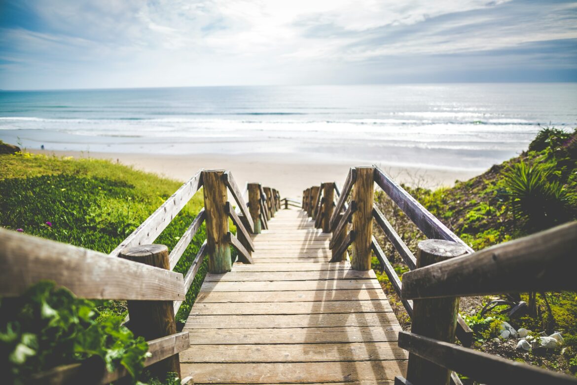khachik-simonian-nXOB-wh4Oyc-unsplash ecoturismo puerto vallarta