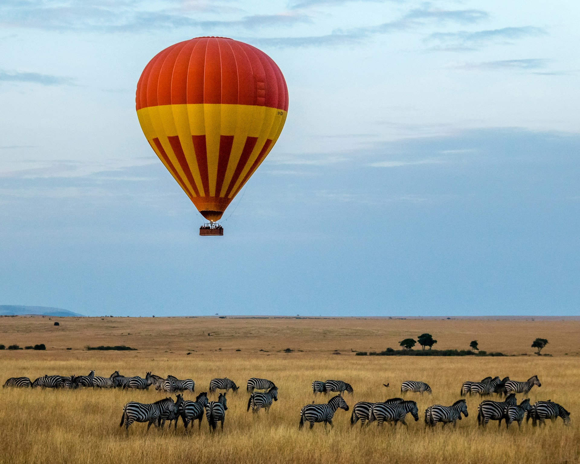 SAFARI EN KENIA O TANZANIA