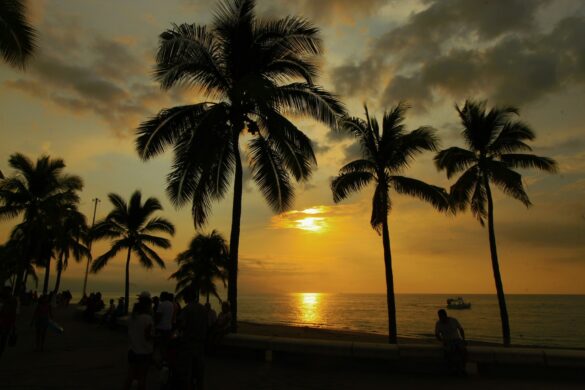 actividades puerto vallarta