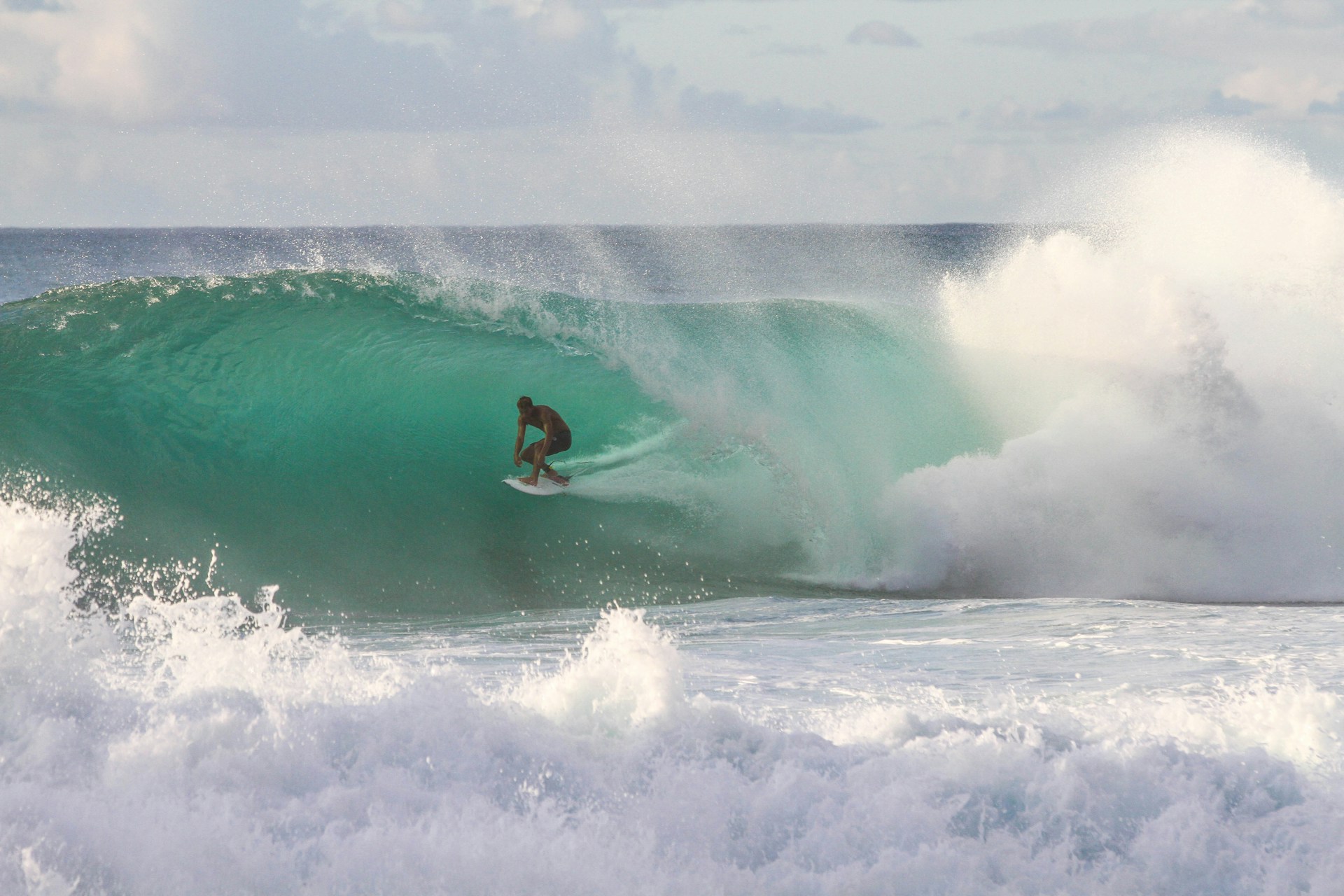surf