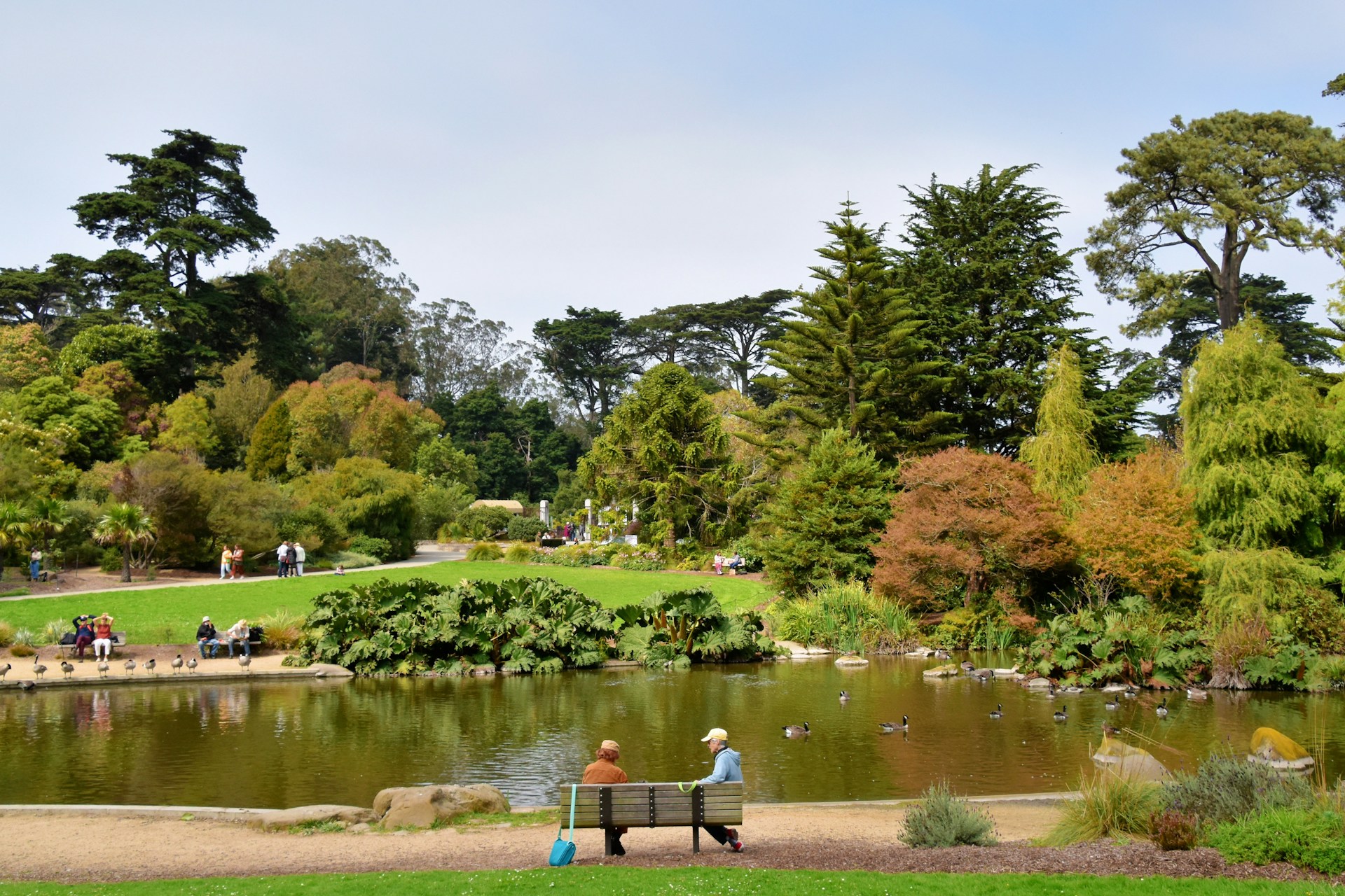golden gate park