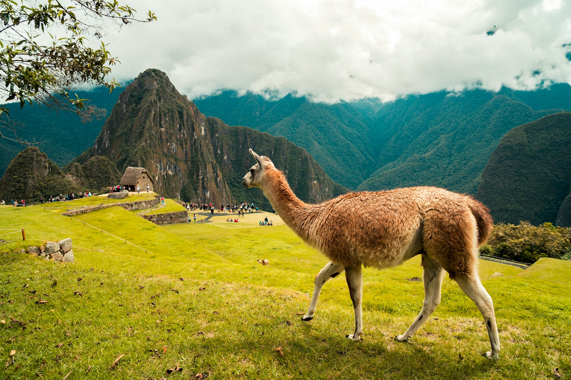 perú