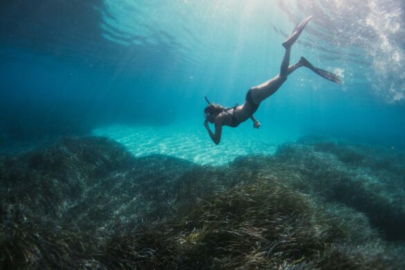 snorkel los cabos