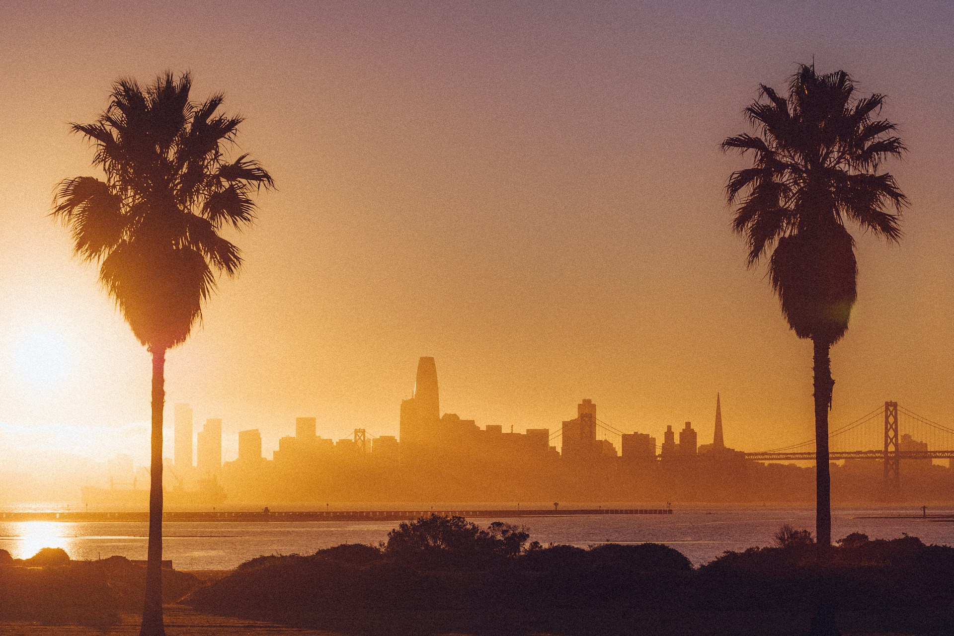 san francisco en verano