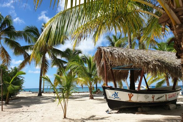 isla saona-punta cana