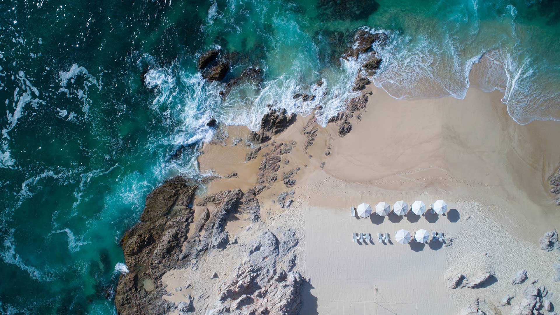 club regina los cabos