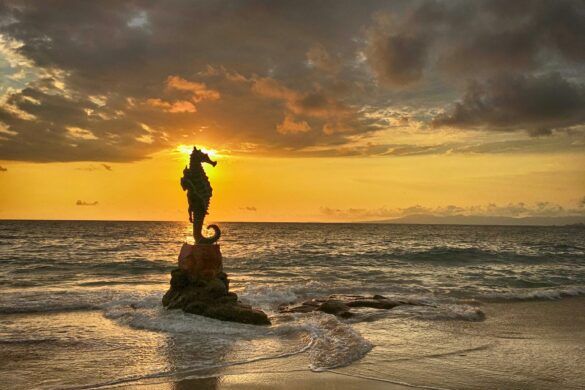 puerto vallarta