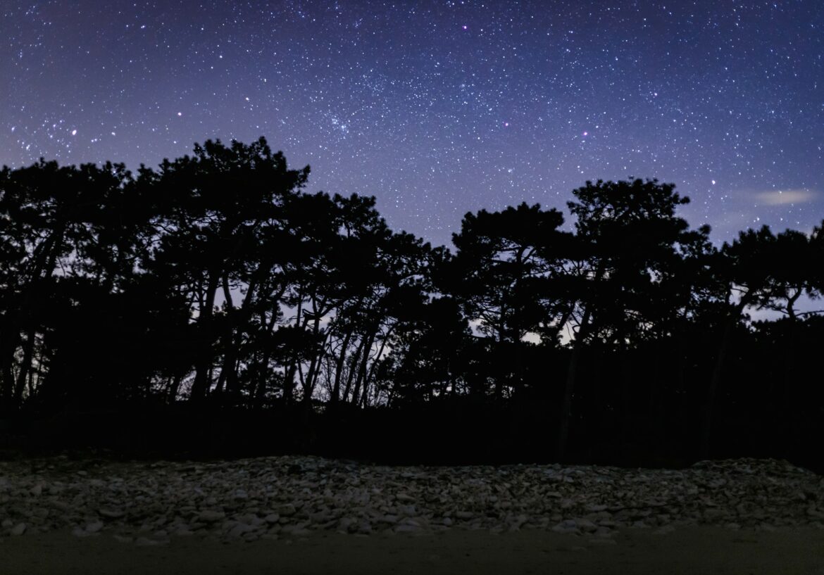 ver estrellas méxico