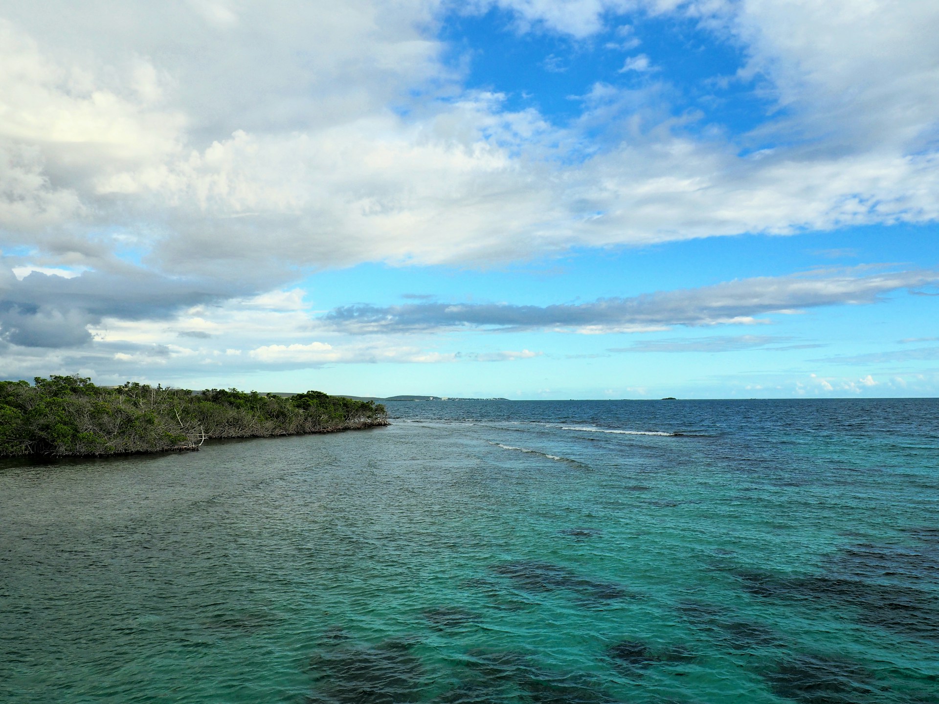 LA PARGUERA PUERTO RICO