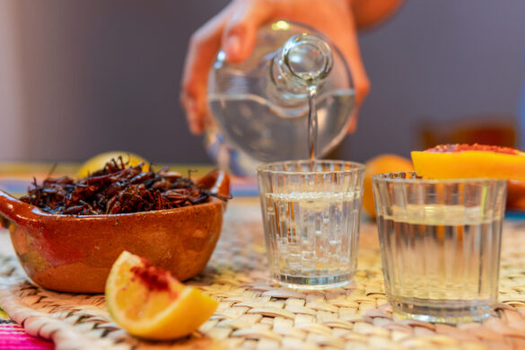 Serving mezcal with chapulines and chili powder in mexico