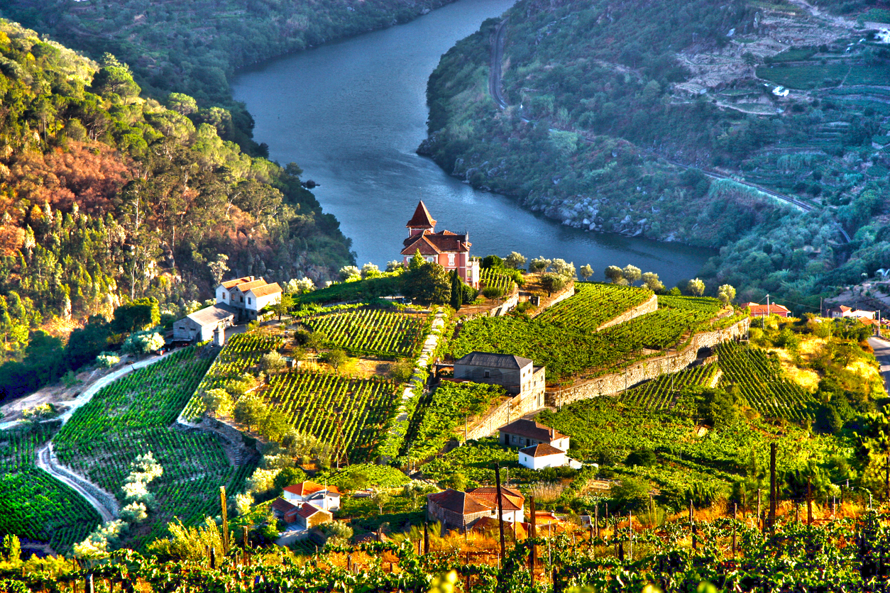 valle del duero